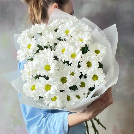Persistent Chrysanthemum Santini