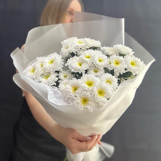 Chrysanthemums