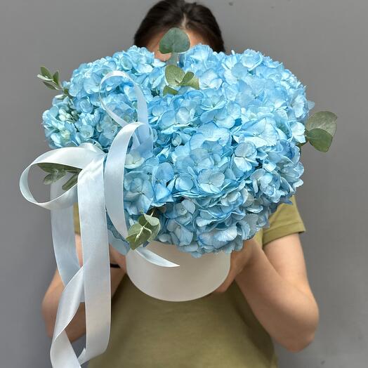 Гортензия с эвкалиптом в шляпной коробке