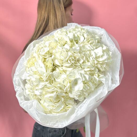 Hortensias