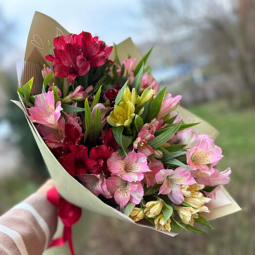 Цветная альстромерия