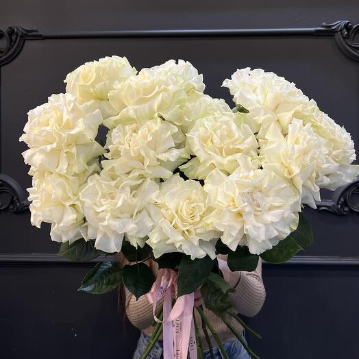 15 rosas francesas
