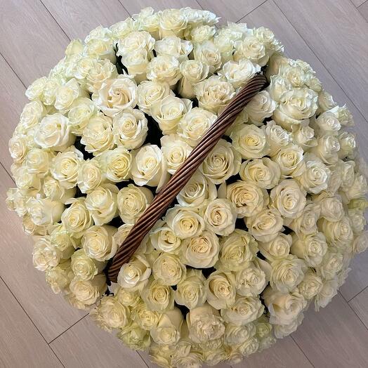 Корзина из белых роз 101 шт