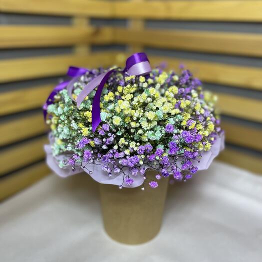 Composition of colored gypsophila