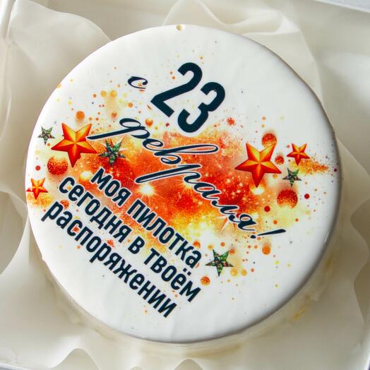 Бенто торт на 23 февраля "В твоём распоряжении!"