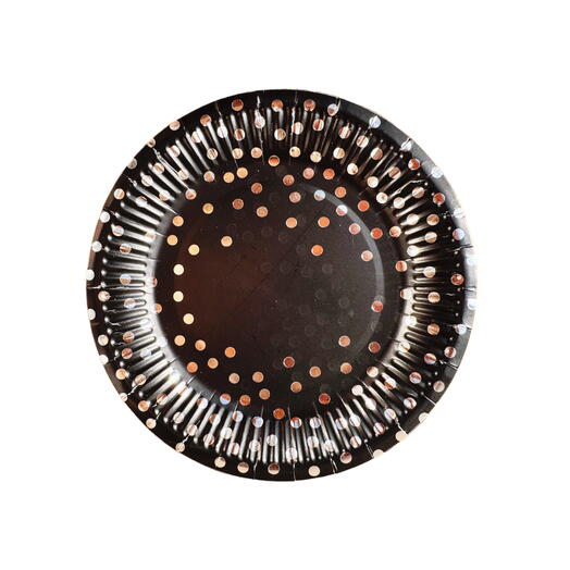 Набор одноразовых тарелок 10 штук черный с серебром. Disposable plates 10 pcs black with silver