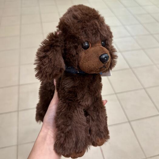 Игрушка мягкая пудель коричневый
