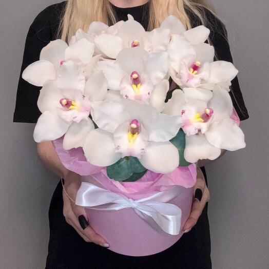 Delicate orchids in a box with eucalyptus 🎀