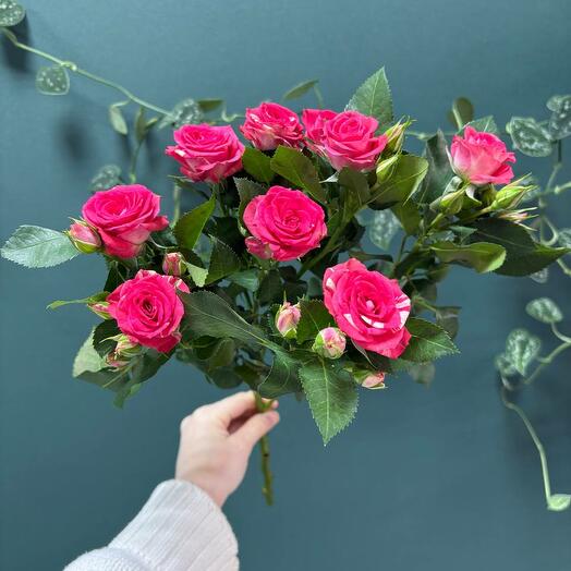 Роза кустовая Фаер