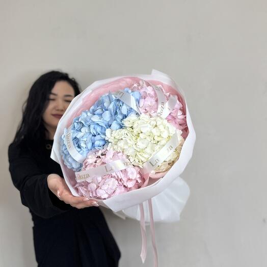 Королевские гортензии