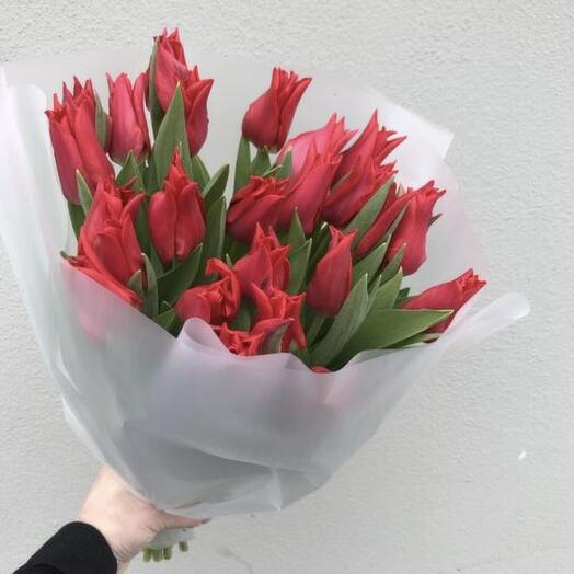 25 red Tulips