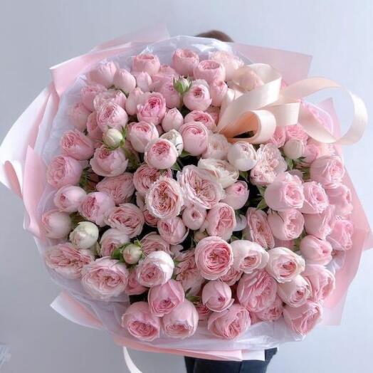 Пионовидная кустовая розовая роза pink