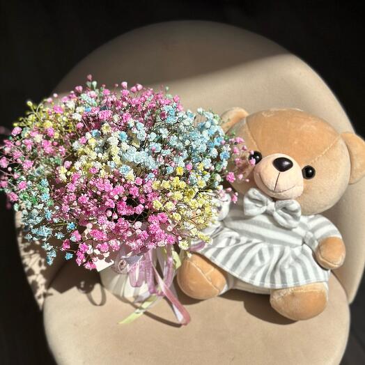 Гипсофила+Котик🌸