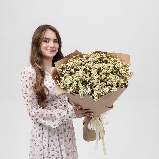 Ромашки