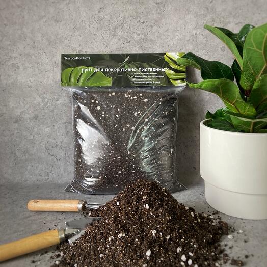 Готовый грунт с биогумусом для комнатных ароидных растений Terracotta Plants, 5 литра