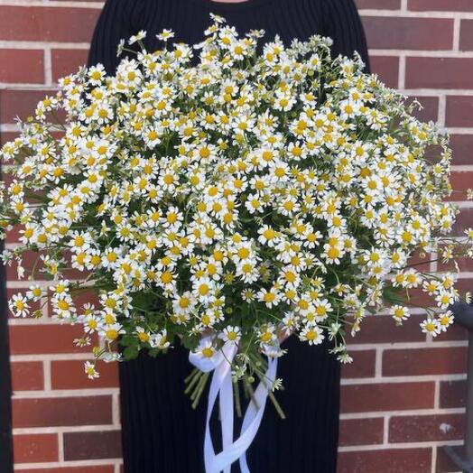 Монобукет из ромашек🌼
