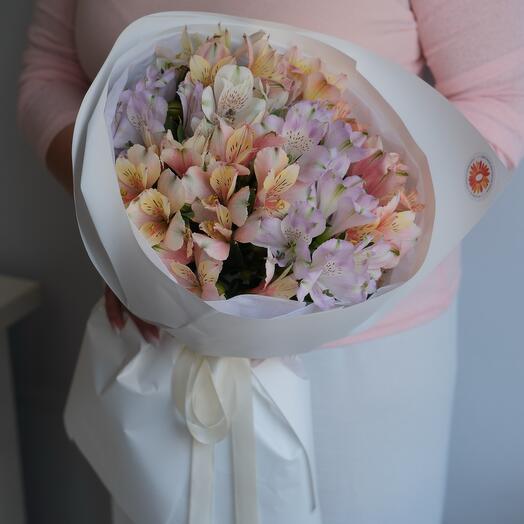 Alstroemeria from Orange