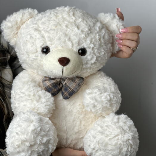 Ursinho de pelúcia  (tamanho M)