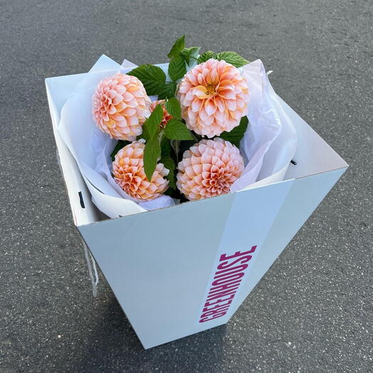 Моно букет «Peaches and cream» (Пичес) в коробке: георгин 5 шт, малина