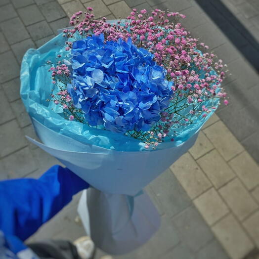 Гортензия с гипсофилой