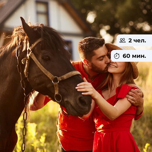 Удачный кадр. Фотосессия с лошадью в Петергофе