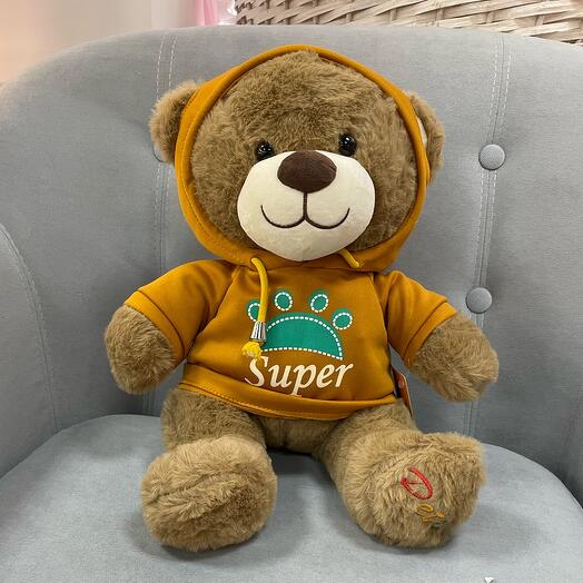 Мишка в коричневой кофточка