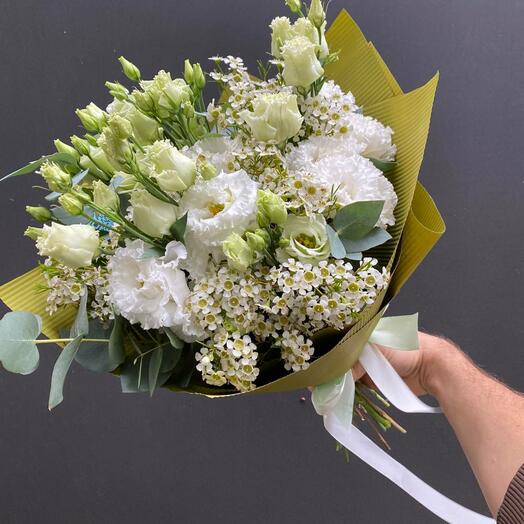 1038 Eustoma delicata