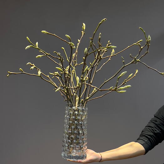 Цветущая магнолия в вазе