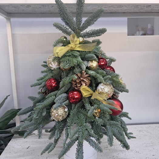 Композиции ёлочки из нобилиса