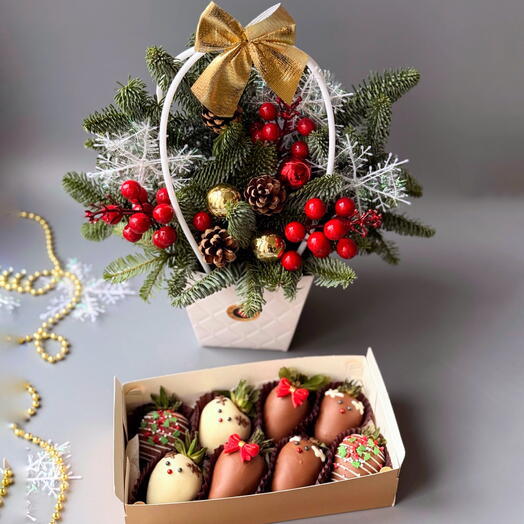 Клубника в бельгийском шоколаде 8 ягод и еловый букет