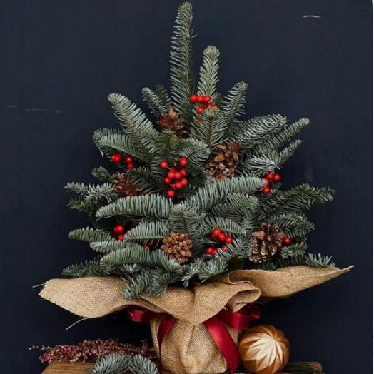 Новогодняя елка 2