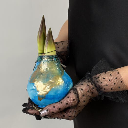 Амариллис в луковице в ассортименте