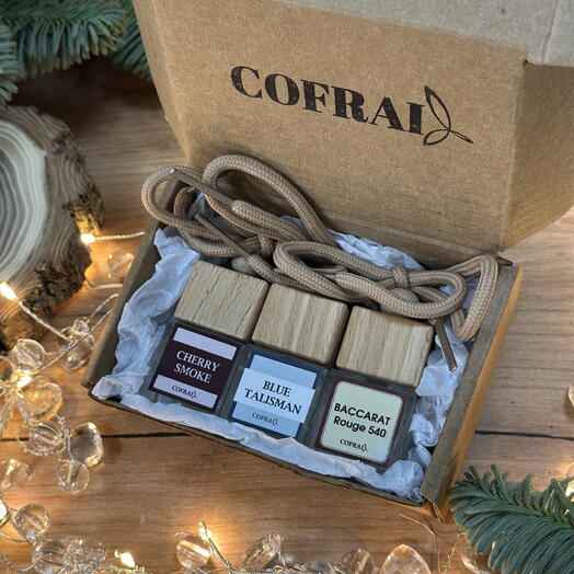 Подарочный набор «Авто парфюм»