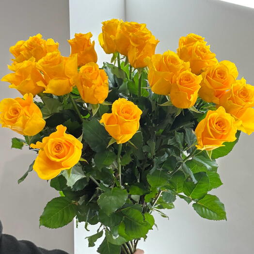 Yellow premium roses