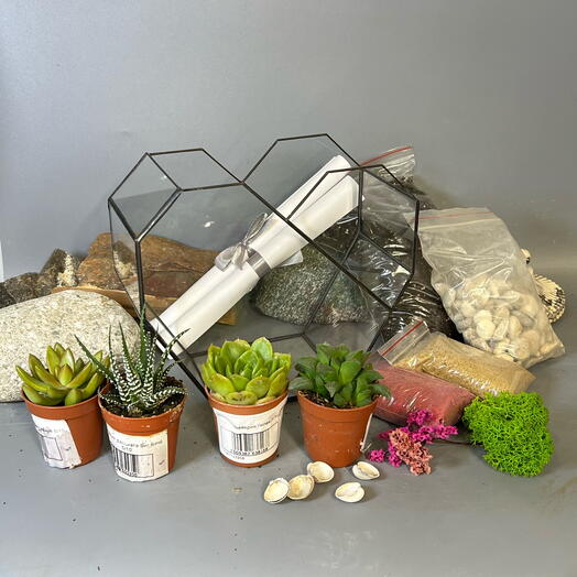 Подарочный набор ай лав ю для посадки Флорариума