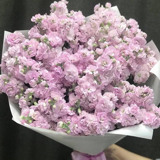 Монобукет из моттиоллы