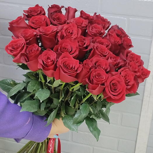Роза эксплора 35 шт