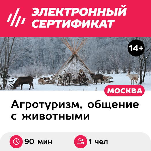 Подарочный сертификат Экскурсия к северным оленям и собакам для 1 взрослого в будний день