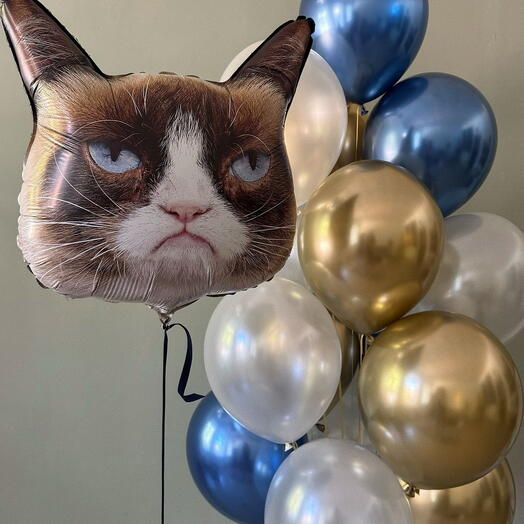 Шары с фигурой кота с доставкой в Калининграде 🎈