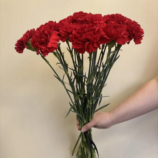 24 красных гвоздик