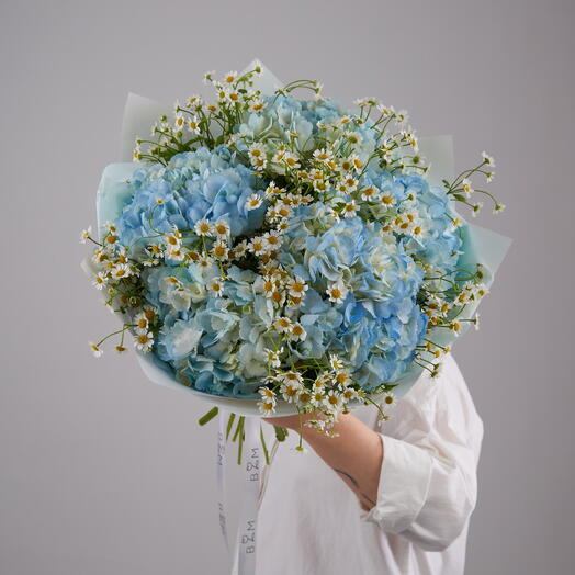 Ramo grande de margaritas y hortensias Bouquet 235 Buket in Moscow