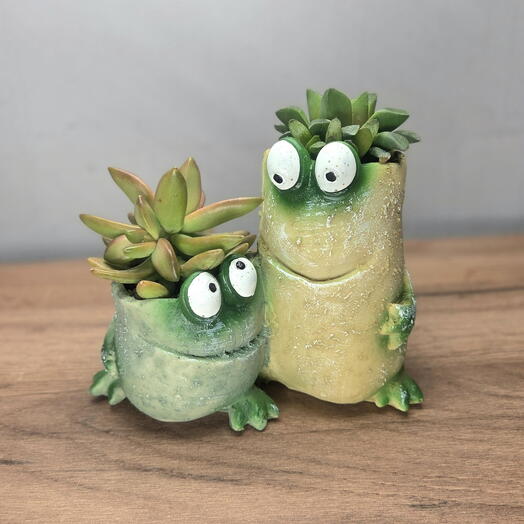 Суккуленты в горшке "Цветочные друзья"