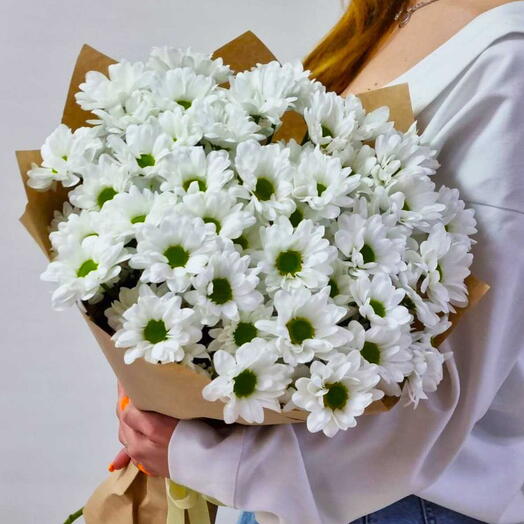 Кустовые хризантемы 11