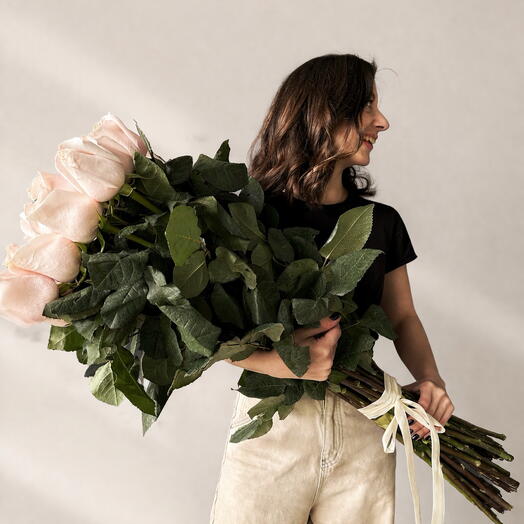 Dutch Pomarosa roses 25 pcs