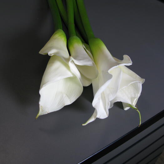 Калла белая (5шт) 70см