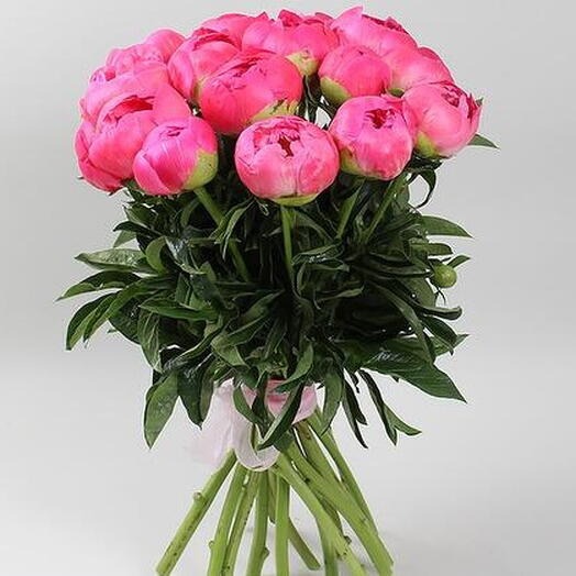 Букет 15 Коралловых Пионов