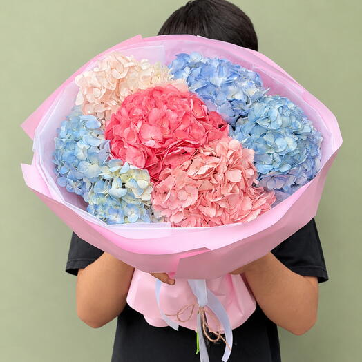 Cotton Candy