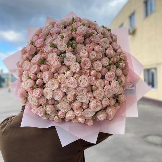 Ssspray roses