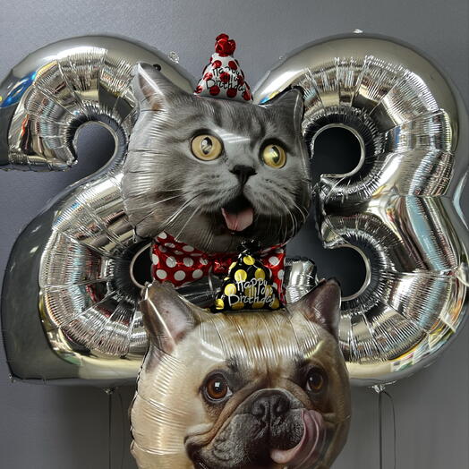 Шары цифры, кот, собака
