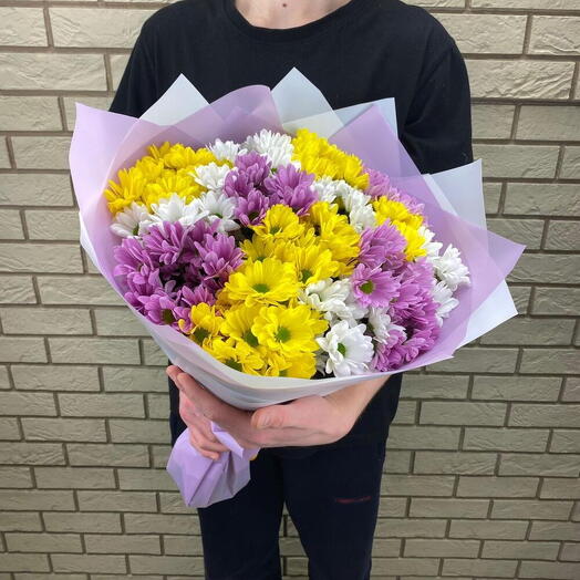 15 chrysanthemums mix